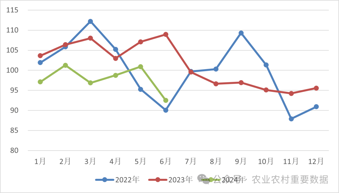 佳县今日菜价最新消息，2026年市场动态与民生观察