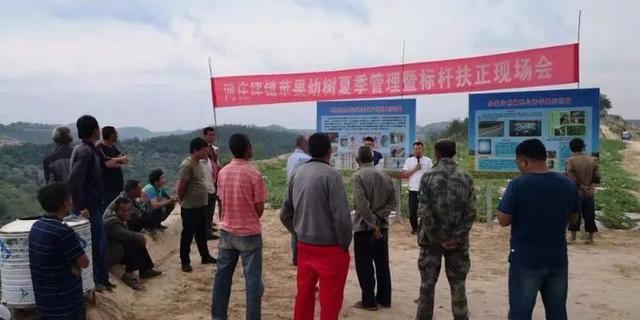 宝塔区今日菜价最新消息，2026年夏季市场动态与居民生活观察