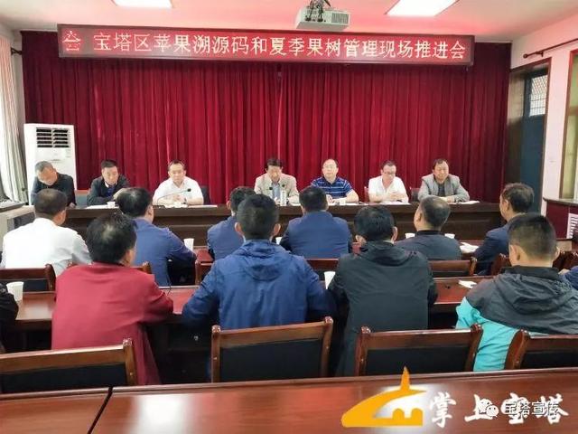 宝塔区今日菜价最新消息，2026年夏季市场动态与居民生活观察