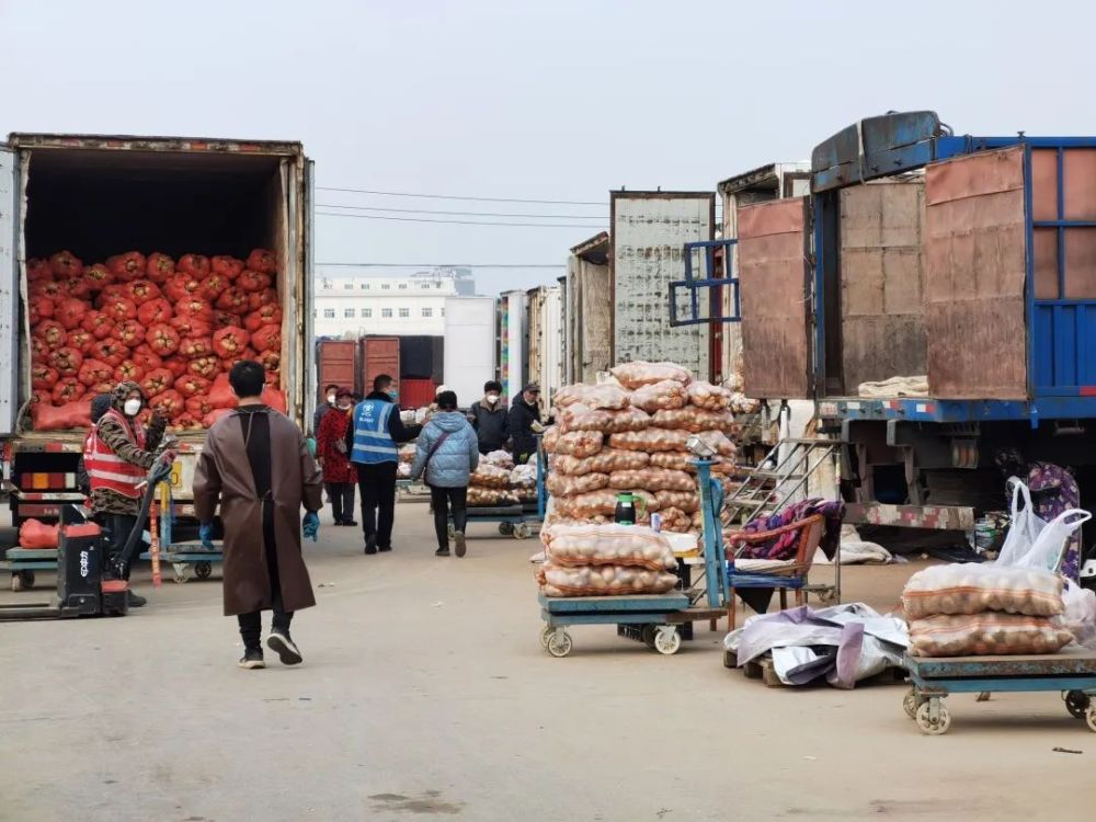 2026年乾县今日菜价最新消息，市场供应充足，价格稳中有降