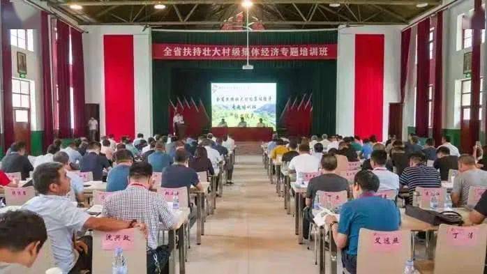 2026年旬邑县今日菜价最新消息，市场波动与民生观察