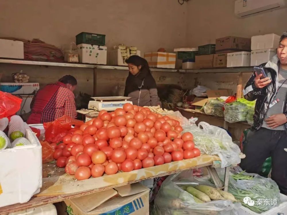 礼泉县今日菜价最新消息，市场直击与民生解读