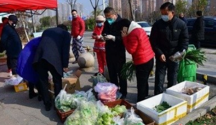 礼泉县今日菜价最新消息，市场直击与民生解读