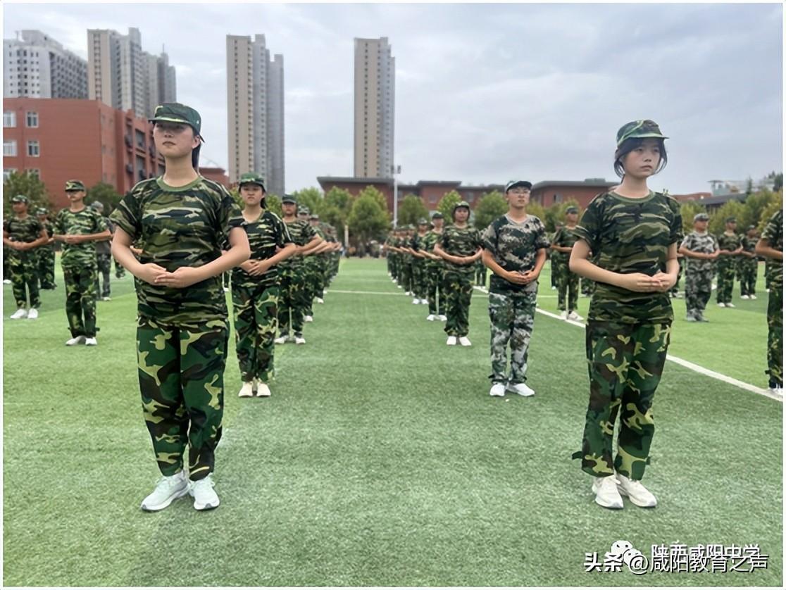 咸阳今日菜价最新消息，2026年市场动态与民生解析