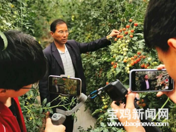 千阳县今日菜价最新消息，智慧农贸实时更新，民生菜篮子稳中有降