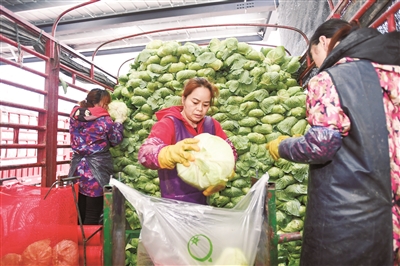 2026年眉县今日菜价最新消息，市场供应充足，部分蔬菜价格小幅回落