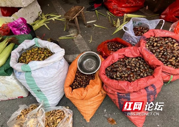 波密县今日菜价最新消息，2026年早市见闻，本地黄瓜上市拉低菜价，蒜薹价格小幅上扬