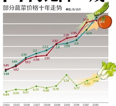 米林县今日菜价最新消息，2026年市场波动与居民生活全观察