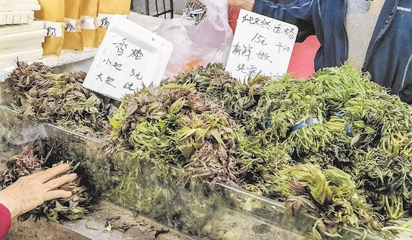 2026年4月22日林芝县菜价更新，本地春菜上市，部分蔬菜价格回落