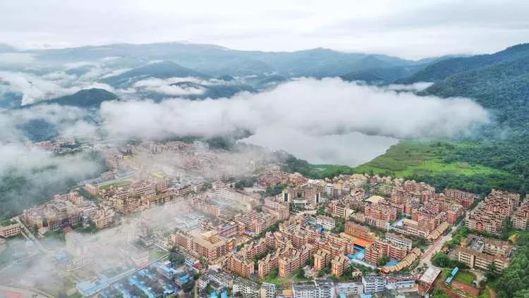 聂拉木县今日菜价最新消息，2026年冬季市场供应稳中有升，居民生活成本小幅波动