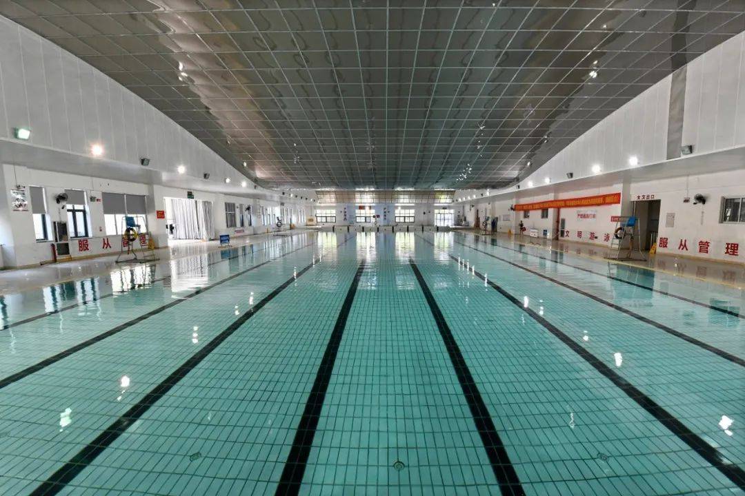 温州十大游泳馆2026年本年度热度口碑双榜对比