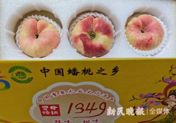 全国十大蟠桃产地2026年本年度热度口碑双榜对比