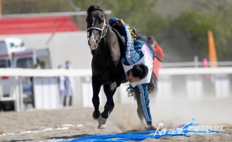 中国十大赛马比赛2026年本年度热度口碑双榜对比