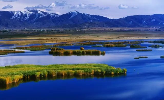 青海十大最美景点2026年本年度热度口碑双榜对比