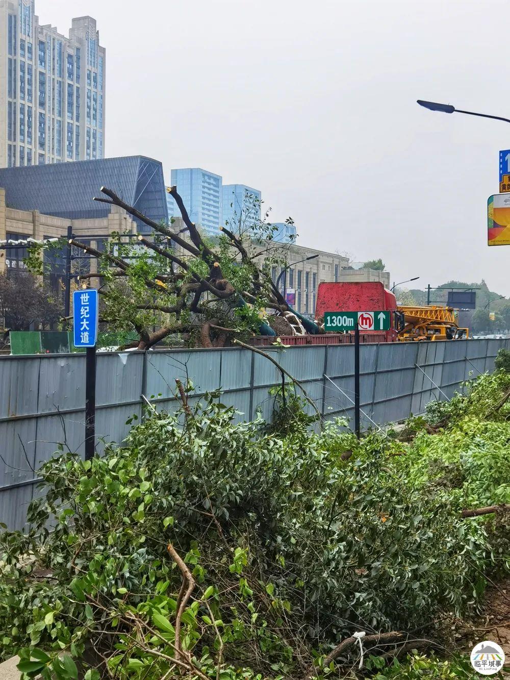 杭州二手房交易热门小区2026年本年度热度口碑双榜对比