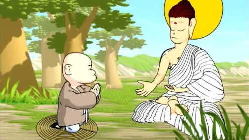 十大经典禅理故事2026年排行榜前十名有哪些