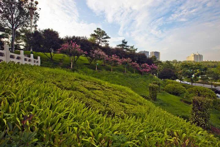 晋城市泽州县十大著名旅游景点2026年本年度热度口碑双榜对比