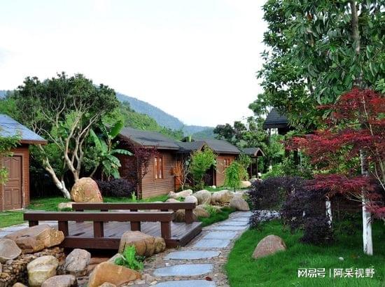 福建十大适合休闲养生的地方2026年本年度热度口碑双榜对比